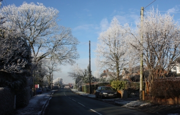 A road with trees and a car parked on the right hand side